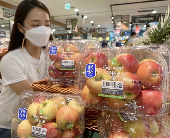 롯데마트가 전국 모든 점포에서 '루비에스' 미니 사과를 판매한다. © 롯데마트
