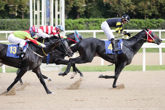 41년 전통의 일간스포츠배(L) 대상경주(1800m, 국내산, 3세 이상)에서 '너트플레이(레이팅 65, 수, 3세)'와 안토니오 기수가 우승을 차지했다.ⓒ 한국마사회