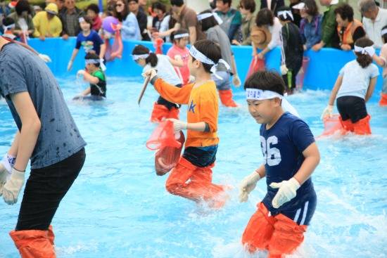 지난 1일 개막한 2015완도장보고수산물축제가 관람객들에게 큰 인기를 모으고 있다. 맨손고기잡기체험행사에서 아이들이 신나게 광어, 장어 등을 잡고 있다. ⓒ완도군