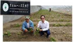 에코텍이 에코농업시스템을 통해 중국내 포도재배를 본격화한다. ⓒ 에코텍