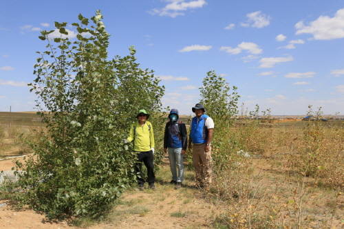 고양시 관계자들이 고양의 숲 조성 상황을 둘러보고 있다. ⓒ 고양시