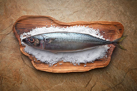 고등어는 혈중 콜레스테롤 수치를 낮추고 고혈압, 동맥경화 등 성인병 예방에 효과가 있는 생선으로 알려져있다. ⓒ 착한가게