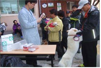 광견병 접종 시술 장면. ⓒ 프라임경제