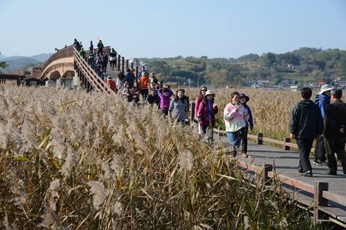 순천만생태공원의 가을 풍경. ⓒ 순천시청