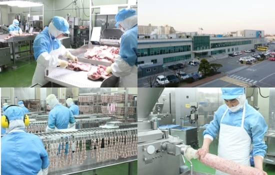 CJ제일제당 진천 육가공 공장(상단 우측) 전경과 내부. 이곳에서 생산되는 모든 제품은 HACCP(위해요소중점관리기준) 인증을 받았다. ⓒ CJ제일제당