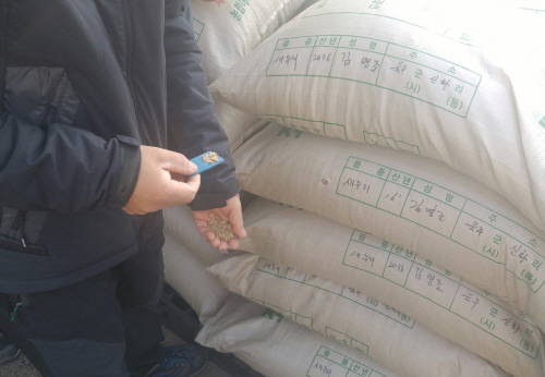 공공비축미 매입을 위해 알곡의 건조도 등을 검사하고 있는 모습. = 임혜현 기자