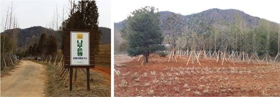 전라남도산림자원연구소의 나무은행 모습이예요. ⓒ 전라남도산림자원연구소