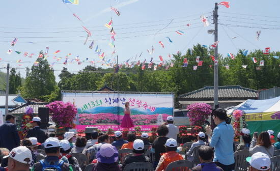 지난해 청계산 철쭉축제 모습(고등동). ⓒ 성남시