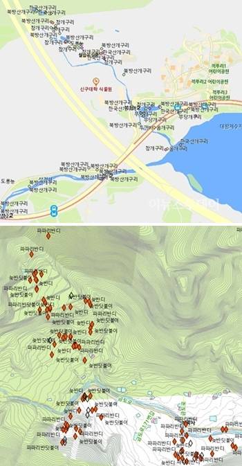 성남시에 반딧불이가 살고 있는 곳과 개구리가 살고 있는 곳을 지도를 보면 알 수 있어요. ⓒ 성남시
