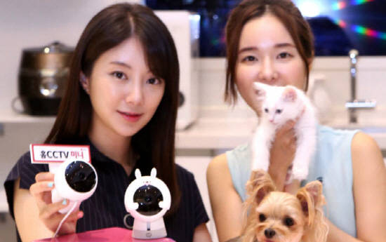 모델들이 사람이 기르는 동물인 반려동물 사물인터넷(IoT) 기술 체험 공간에서 IoT 제품들을 사용해보고 있어요. ⓒ LG유플러스