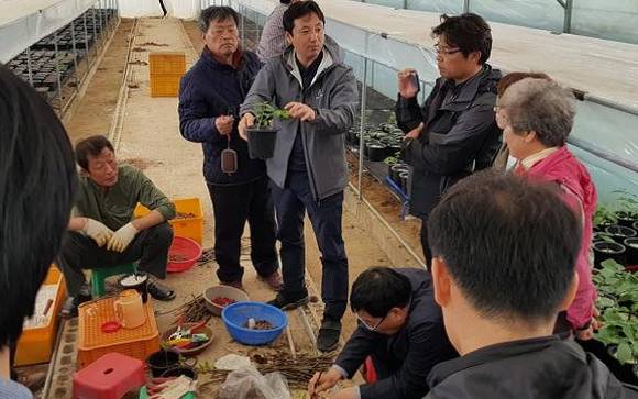 옮겨심는 어린 호두나를 쉽게 만드는 법을 설명하고 있어요. ⓒ 휴먼에이드포스트