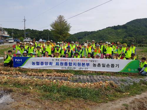 11일 충남 공주시 상왕동 농가에서 허식 농협중앙회 부회장을 비롯한 회원종합지원본부 임직원 80명은 농촌일손부족으로 어려움을 겪고 있는 농업인을 지원하기 위해 농촌일손돕기 현장에서 기념촬영을 하고 있다. ⓒ 농협