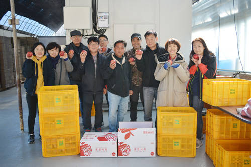 농협안심축산 임직원 20여명은 자매결연을 맺은 마을을 찾아 가을철 수확기 사과 따기 봉사활동을 실시했다. ⓒ 농협안심축산