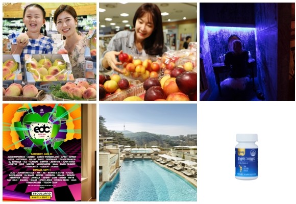 (왼쪽부터 시계방향) 홈플러스 아삭한 복숭아, 롯데마트 자두 페스티벌, 롯데월드 미궁X저택, 대원제약 칼슘마그네슘디, 서울신라호텔 서머 루프탑 가든 패키지, 신라스테이 EDC KOREA 2019 패키지. ⓒ 각 사