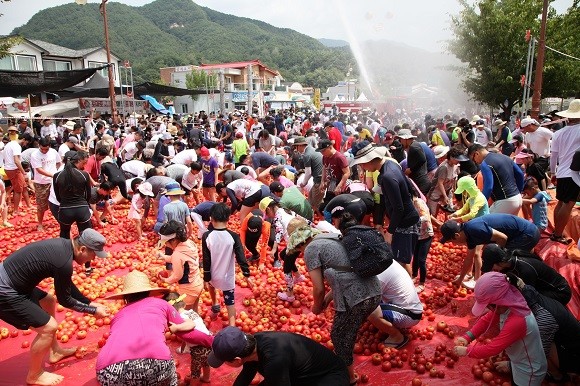 오뚜기는 16년째 '화천 토마토축제'를 후원 중이다. ⓒ 오뚜기