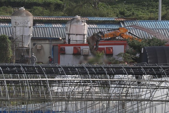 19일 경기도 파주시 아프리카돼지열병(ASF) 발생 양돈 농가에서 방역당국이 농장 내부를 정리하고 있다. ⓒ 연합뉴스