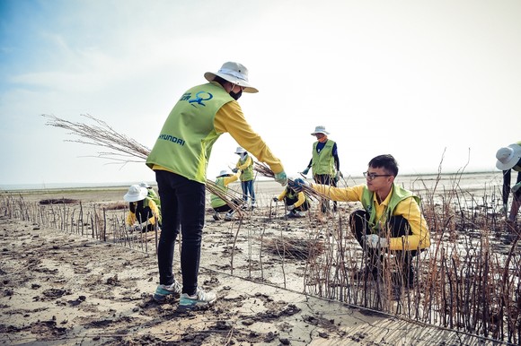 지난 8월 하기노르 지역에서 실시된 내몽고 사막화 방지사업 '현대그린존 프로젝트'에서 봉사단이 사막화 방지 활동을 하는 모습. ⓒ 현대자동차그룹