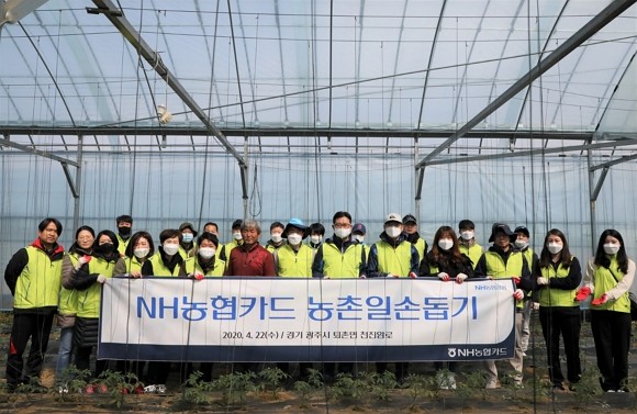 NH농협카드가 코로나19로 인해 일손이 부족한 농촌을 돕기 위해 임직원 직접 경기도 퇴촌면 토마토 농가를 방문해 '농촌일손 돕기'를 실시했다. ⓒ NH농협카드
