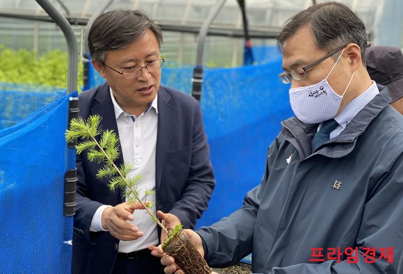 최병암 산림청 차장(오른쪽 첫번째)이 지난 21일 강원도 고성군 고성평화양묘사업소에서 산불피해복구를 위한 내화수종과 대북지원용 양묘상황을 점검하고 있다. ⓒ 산림청
