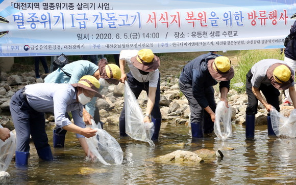 한국타이어가 대전 유등천 상류 수련교에서 감돌고기 방류 행사를 진행했다. ⓒ 한국타이어