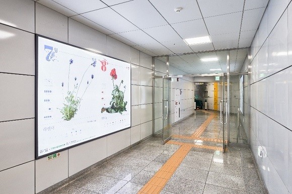 북한산 보국문역 '7·8월에 피는 꽃' ⓒ 코스믹그린