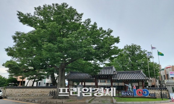 홍주미트 이미지