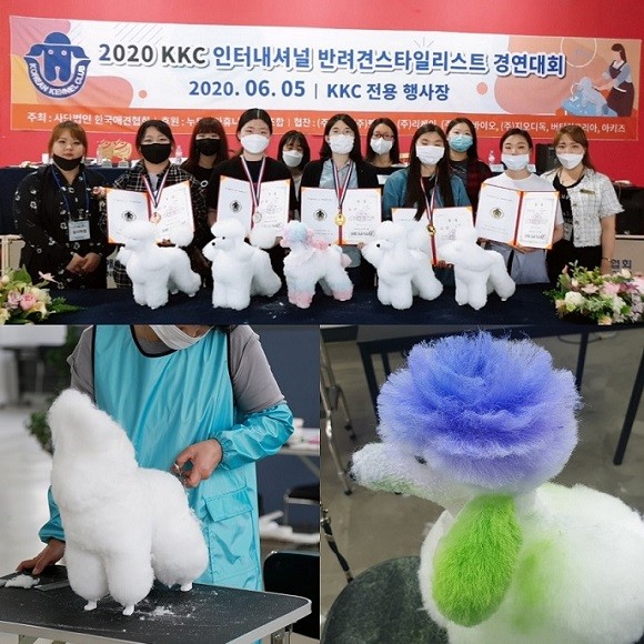 2020 KCC 인터내셔널 반려견 스타일리스트 경연대회. ⓒ 서울연희실용전문학교