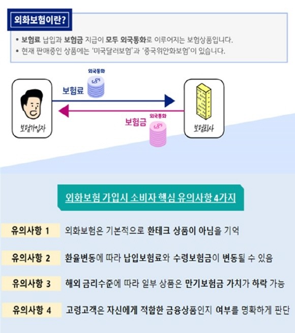 금감원