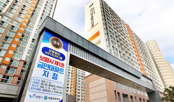 보령1호 이미지