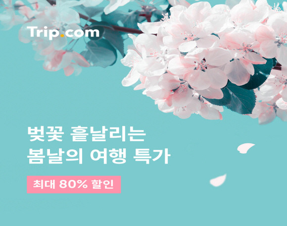 트립플러스 이미지