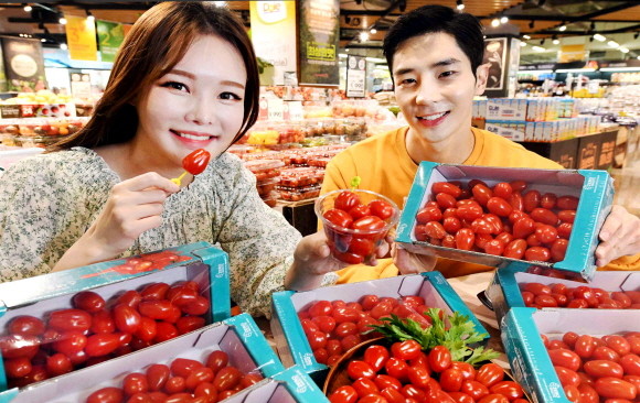 홈플러스가 '스낵 토마토'를 오는 8일부터 판매한다. © 홈플러스