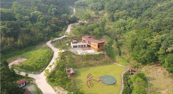 무수동 치유의 숲. ⓒ 대전시