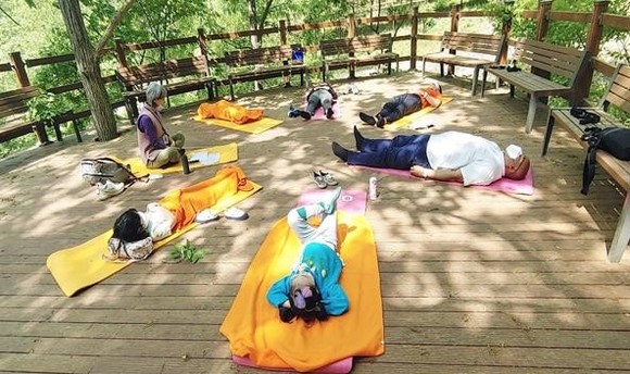 무수동 치유의 숲, 코로나 스트레 날리는 명당. ⓒ 대전시