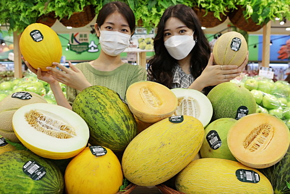 4일 서울시 중구 봉래동에 위치한 롯데마트 서울역점에서 모델들이 '이색 멜론 5종'을 홍보하고 있는 모습. © 롯데마트