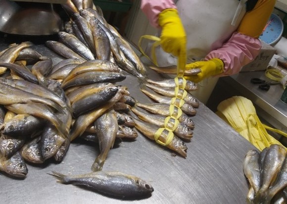 추자도 굴비 가공공장에서 참조기를 엮고 있는 작업자의 손길이 분주하다. ⓒ 프라임경제