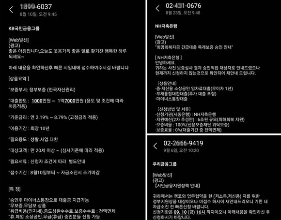 금융기관에서 보낸 것으로 위장한 문자메시지. 정부 보증을 통한 저금리 대출이 가능하다고 소개하고 있다. = 장민태 기자