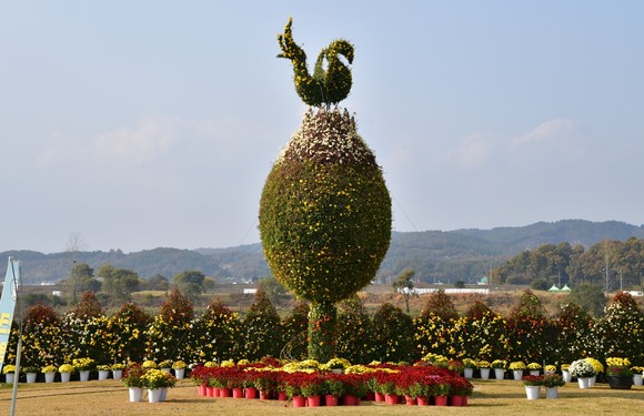 부여국화축제 전시 모습. ⓒ 부여군