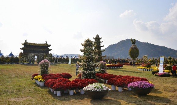 부여국화축제 전시 모습. ⓒ 부여군