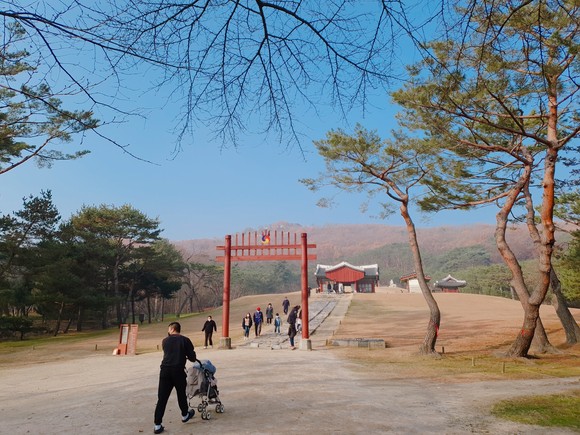 임 회장은 김포 장릉의 경우 산책로에서는 아파트가 보이지 않으며, 일반인 통행이 허용되지 않는 곳에서만 아파트를 볼 수 있다고 주장했다. ⓒ 입예협