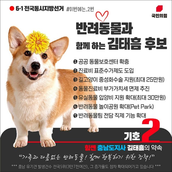 반려동물과 함께 하는 김태흠 후보 이미지. ⓒ 후보사무실
