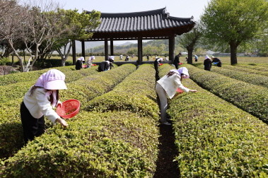 주)보성주 이미지