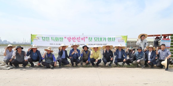 오성환 시장이 '당찬진미' 모내기 시연 후 관계자들과 단체 기념촬영을 하고 있다. ⓒ 당진시