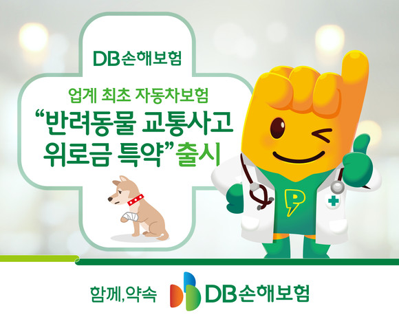 DB손해보험이 반려동물 교통사고 위로금 특약을 출시했다. ⓒ DB손해보험