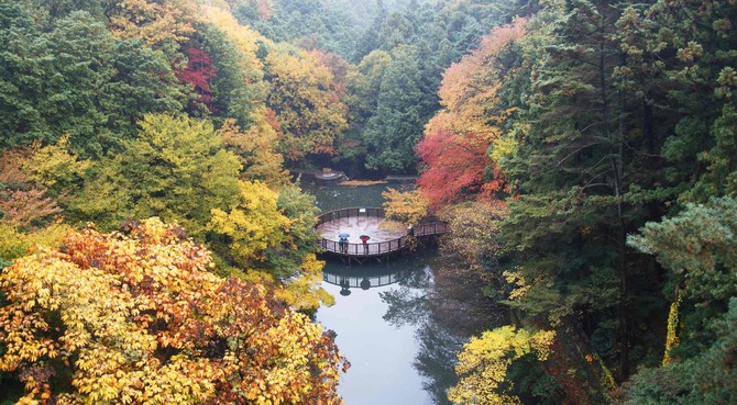 부산 어린이대공원 모습. ⓒ 산림청