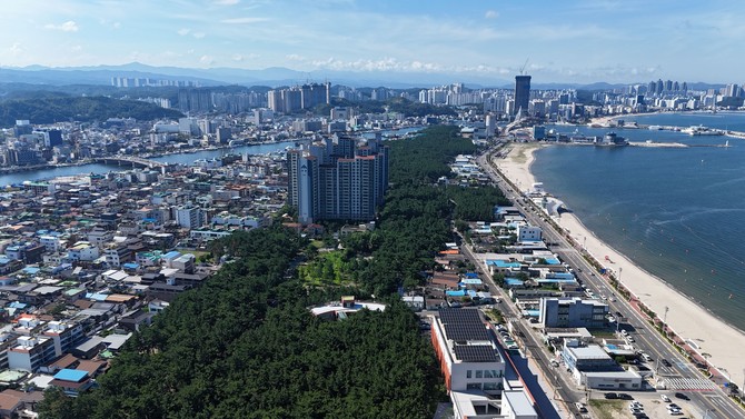 경북 송도솔밭도시숲. ⓒ 산림청