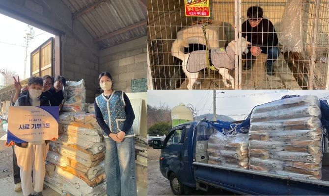 루다큐어, 유기묘 사료 1톤 기부 - 뉴스 썸네일 이미지