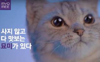 대표이미지