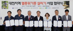 대표이미지