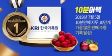 대표이미지