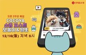 대표이미지